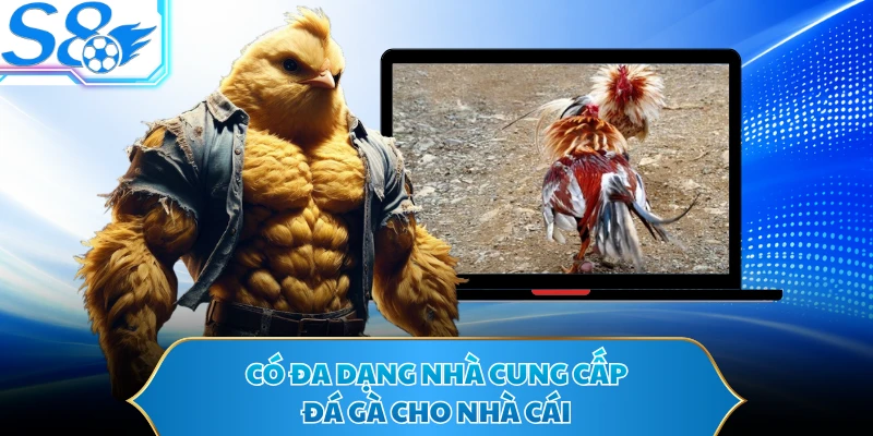 Có đa dạng nhà cung cấp đá gà cho nhà cái