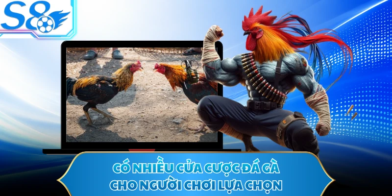 Có nhiều cửa cược đá gà cho người chơi lựa chọn