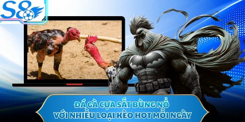 Đá gà cựa sắt bùng nổ với nhiều loại kèo hot mỗi ngày