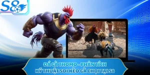 Đá Gà Thomo - Phân Tích Kỹ Thuật Soi Kèo Gà Chọi Tại S8