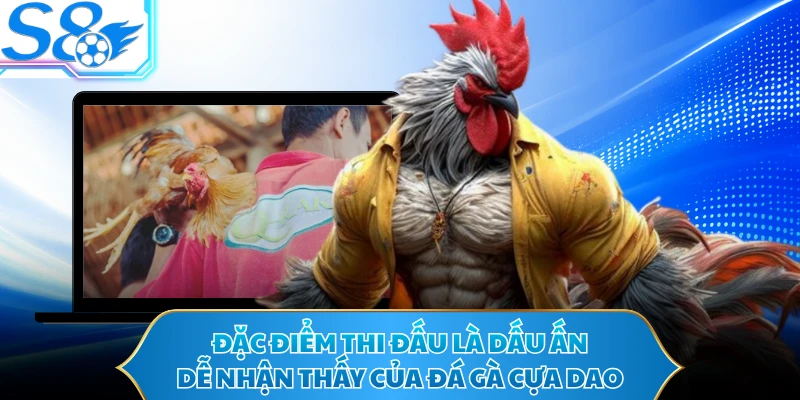 Đặc điểm thi đấu là dấu ấn dễ nhận thấy của đá gà cựa dao