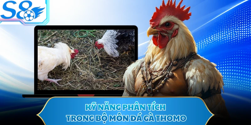 Kỹ năng phân tích trong bộ môn đá gà Thomo