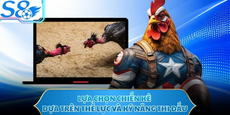 Lựa chọn chiến kê dựa trên thể lực và kỹ năng thi đấu