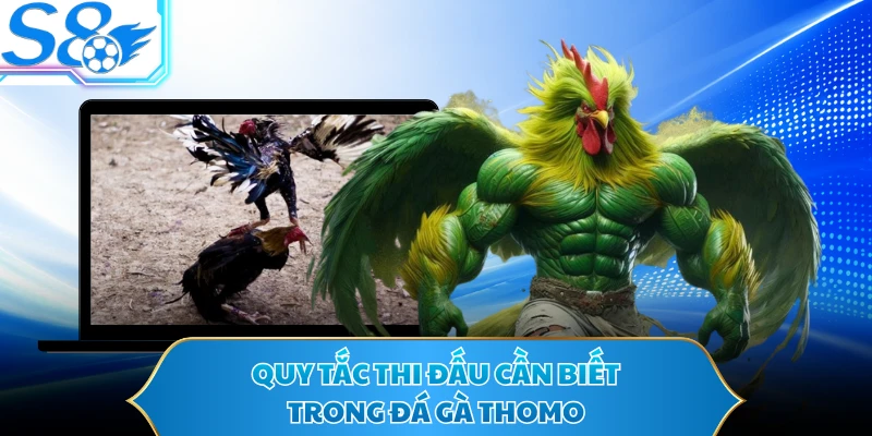 Quy tắc thi đấu cần biết trong đá gà Thomo