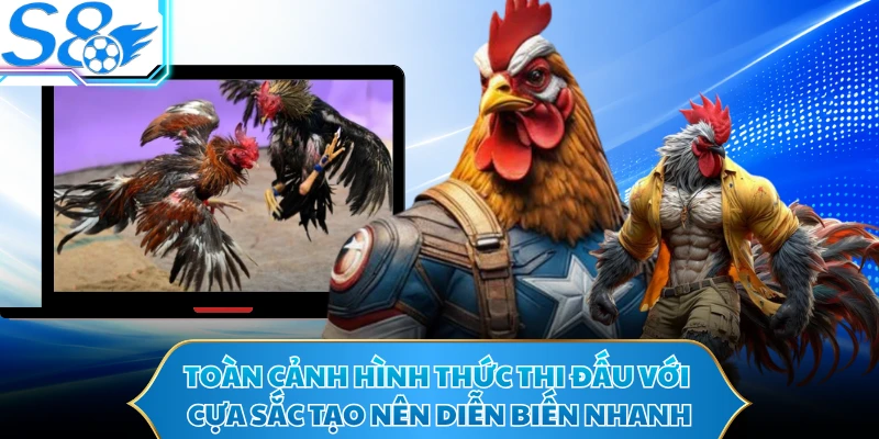 Toàn cảnh hình thức thi đấu với cựa sắc tạo nên diễn biến nhanh